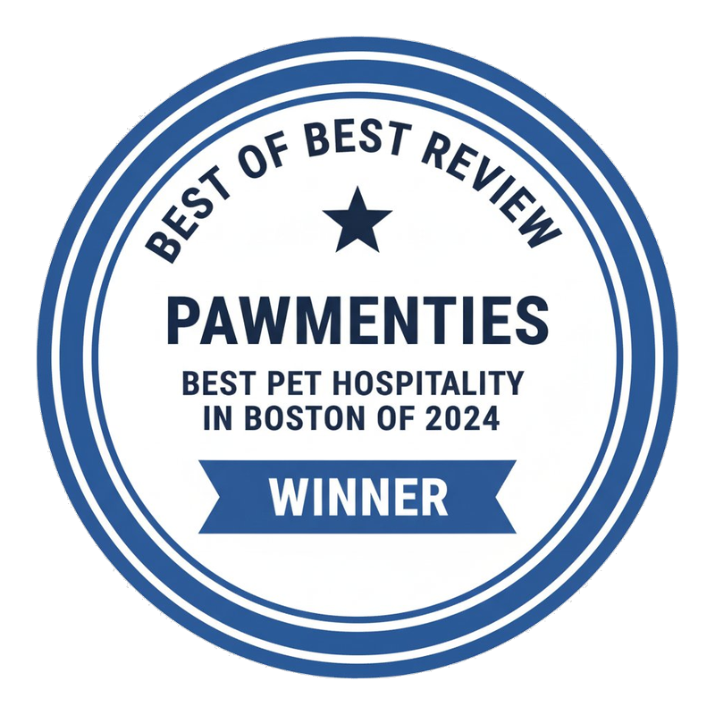 Best Pet Hospitality in Boston